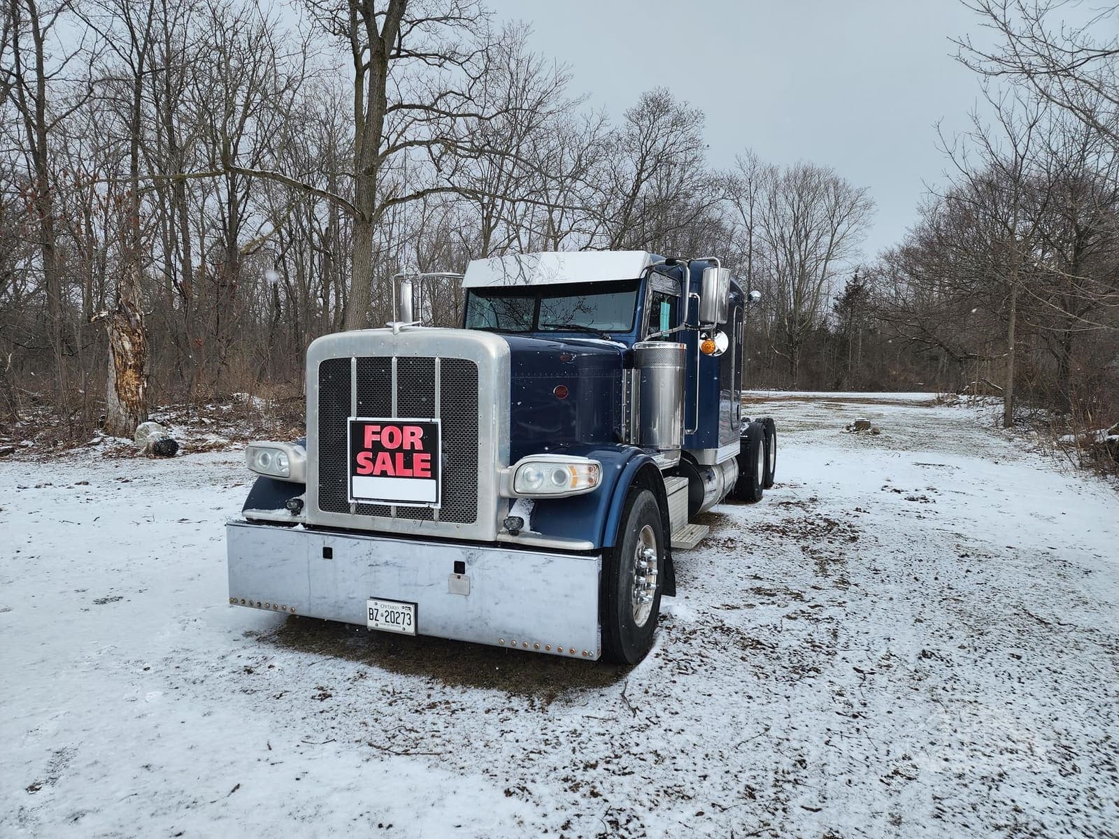 2015 Peterbilt 389 - photo 1